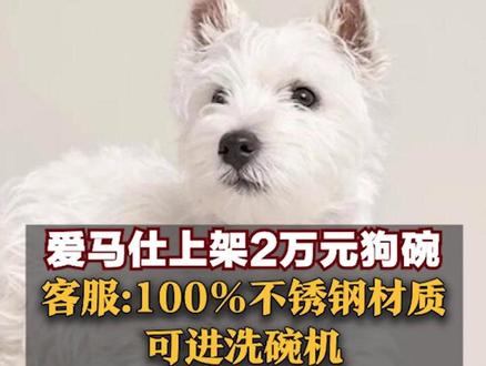 爱马仕上架2万元狗碗,客服:100%不锈钢材质,可进洗碗机,大号已全网无货