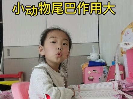 动物尾巴作用大,你知道吗??儿歌来喽#作用 #创作灵感#抖音小助手 #课外