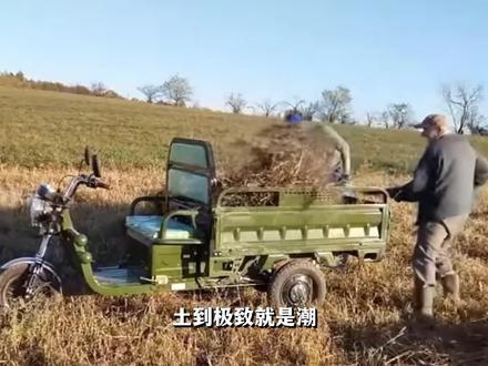 国产三蹦子,为何能火爆欧洲车展?它是怎么征服老外的?