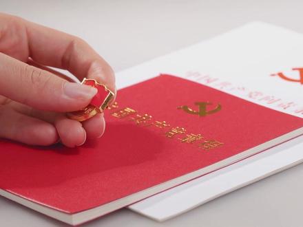 手拂党徽动作特写#党建