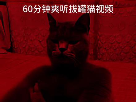 #梗图挑战 #长视频 #拔罐猫 #搞笑 #抽象 这波又贪了留着春晚看!