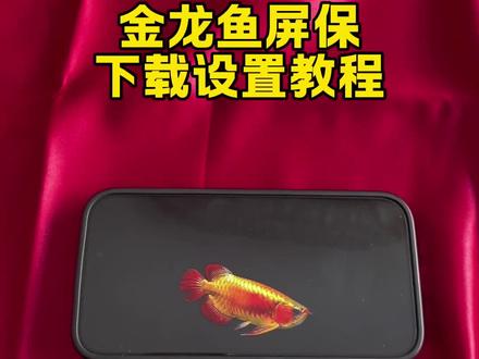 《水果糖块》电视养鱼教程来啦#电子养鱼#养鱼 #电视养鱼教程 #电视屏保 #龙鱼 电视养鱼、电子养鱼、龙鱼、金龙鱼、钓鱼、、鱼、金龙鱼电视屏保教程 电视