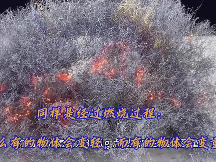 同样是经过燃烧过程:为什么有的物体会变轻,而有的物体会变重?