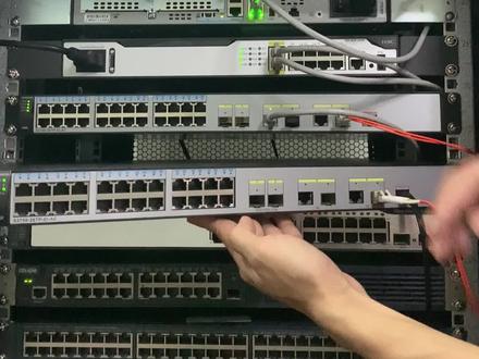 自动生成交换机配置#交换机 #路由器