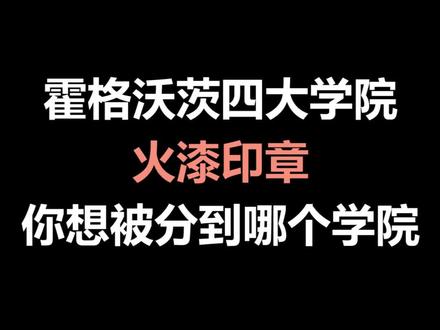 #手艺人 #哈利波特 还是很美丽的嘛