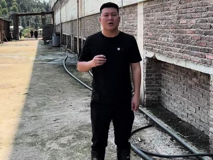 你养的是什么品种的公母猪