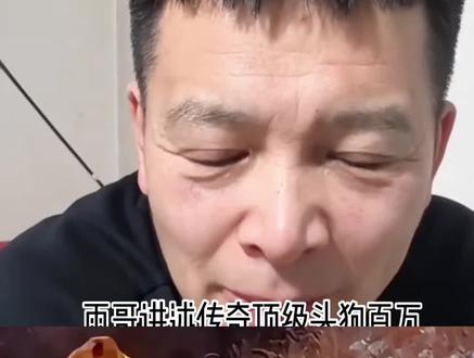 听雨哥讲述传奇顶级头狗百万的故事,现役顶级头狗大娃二娃四娃的英雄母亲,太可惜了@西北刀客-机油手 #西北刀客 #西北刀客百万 #猎犬热爱