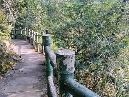 你去过很多次白鹤森林公园,但你绝对没有去过森林公园这条线路,看了会把你美翻!#涪陵游玩#同城热门 #白鹤森林公园