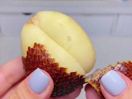 像蛇皮一样外表的水果你吃过吗?外表像蛇皮,剥开果肉像大蒜,味道闻起来像菠萝蜜的味道,口感很脆甜,香香的越吃越香,宝子们快来尝尝吧#最爱吃的水果#蛇皮果#印尼蛇皮果 #水果