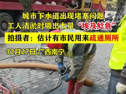 城市下水道出现堵塞问题,工人清淤时吸出大量“埃及鲶鱼”!拍摄者:估计有市民用来疏通厕所 #鲶鱼 #疏通厕所 #堵塞 #广西