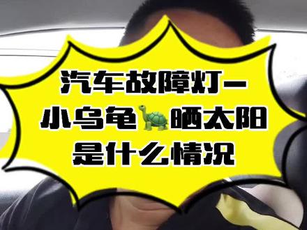 汽车故障灯-小王八晒太阳~是什么意思!!~#汽车知识