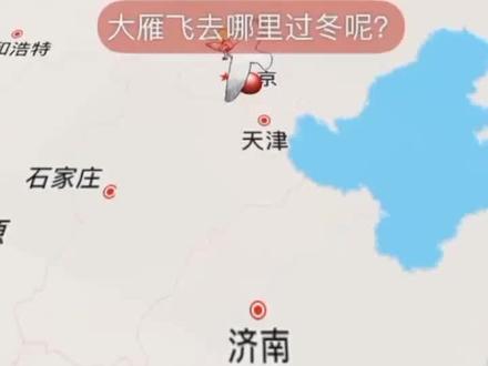 大雁南飞到底飞哪里了,真相颠覆你的认知