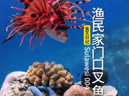 野哥BBQ正式开业。苏拉威西岛的渔民生活 004