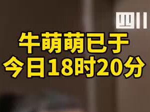 今日下午,18时50分,经过体检等相关流程,#牛萌萌已被执行拘留 来源:新京报