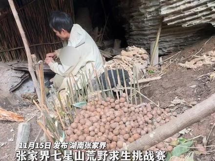 张家界七星山荒野求生挑战赛 齐心兄弟:发愁 吃不完 根本吃不完 挖了八九十斤山药 手指甲都挖疼了 建哥:下次体检估计通过的人不多#张家界 #荒野求生