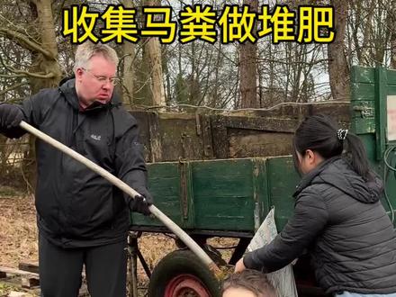收集马粪做堆肥 去附近马场收集马粪,和着冬天的枯枝落叶做堆肥。#堆肥#种菜