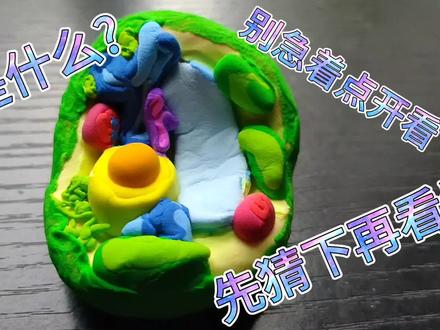 植物细胞模型详细制作全过程#橡皮泥手工制作#生物学科知识#收藏 #黏土手工 #创意手工 #手工制作 #粘土