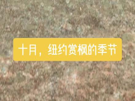 纽约州(State of New York)是美国东北部的一个州,以其经济发达和重要地位而闻名,别名为“帝国之州”(Empire State)。
以下是一些关于纽约州的基本信息:
* 州府: 奥尔巴尼(Albany)
* 主要城市: 纽约市(New York City),是美国最大的城市,也是全球重要的金融和贸易中心。其他主要城市有罗切斯特(Rochester)、布法罗(Buffalo)等。
* 地理位置: 位于美国东北部,东滨大西洋,北邻加拿大。
* 气候: 属温带大陆性湿润气候,冬季寒冷,夏季温暖。
* 经济: 是美国的贸易和金融中心,经济地位举足轻重,拥有完善的制造业和服务业产业集群。
* 著名景点: 尼亚加拉大瀑布(Niagara Falls)、阿迪朗达克公园(Adirondack Park)等。
* 历史: 曾是荷兰殖民地,后被英国占领并改名“新约克”,是北美十三州之一,于1788年加入联邦。
纽约州以其多样的地理风貌著称,从曼哈顿的摩天大楼到州北部(Upstate New York)的湖泊、山脉和自然风光,景致丰富。