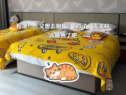 他只是一只猫,偷偷玩手机怎么了!