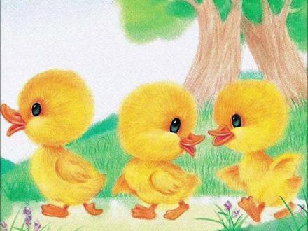 儿童成长故事 | 三只小鸭子 #阅读 #幼儿园 #幼儿教育