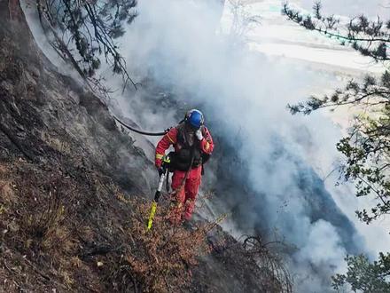 怕输就回家找妈妈炒碗蛋炒饭