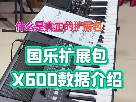 #电子琴 #国乐扩展 雅马哈sx600扩展包