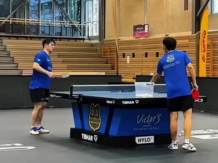 樊振东左手训练#乒乓球 #乒乓球训练 #乒乓球教学