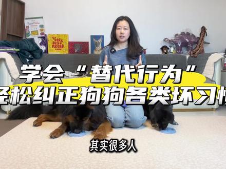 狗狗行为问题的核心,不是制止,而是“替代行为” #moji训练法 #训犬 #训犬师 #磨叽磨叽 #磨叽妈妈