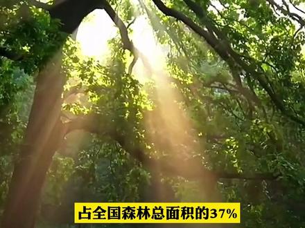 东北的这些自然资源,你们都知道多少!#东北 #东北冷知识