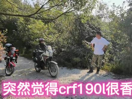 今天排量大一些的几辆越野摩托过来挑战楼梯坡!#爱机车爱生活 #林道越野 #crf190l #ktm #摔车