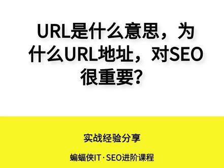 URL是什么意思,为什么URL地址,对SEO很重要?#URL是什么意思 #URL #URL地址 #什么是URL