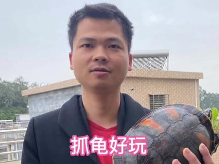 如何抓一只火焰龟,汤勺?#精品火焰 #养龟人 #养龟日常 @企业号小助手