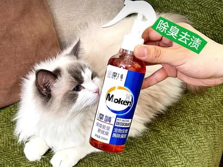 宠物尿味总散不去?试试这款除臭喷雾! 养宠专用生物酶除臭,温和安全无刺激,多场景随心喷洒,居家时刻清爽干净。#摩啃 #养宠必备 #宠物除臭