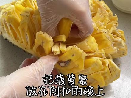 菠萝蜜的正确剥法怎么吃 766dc4c83dc5e90bc0baaffefe4ed576~tplv-dy-resize-origshort-autoq-75:330.jpeg?x-expires=2016702000&x-signature=35NkOz84bZ7gGpL%2BnS%2F4CuXiU7o%3D&from=3213915784&s=PackSourceEnum_AWEME_DETAIL&se=false&sc=cover&biz_tag=pcweb_cover&l=20231130194740FCB5AE9DF8ED7D109EB6