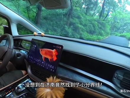 #上热门🔥 #莱芜独路村林海草原@DOU+小助手