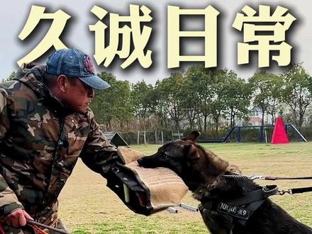 想要做好靶,首先多吃饭 #训犬 #训犬师 #训犬学校