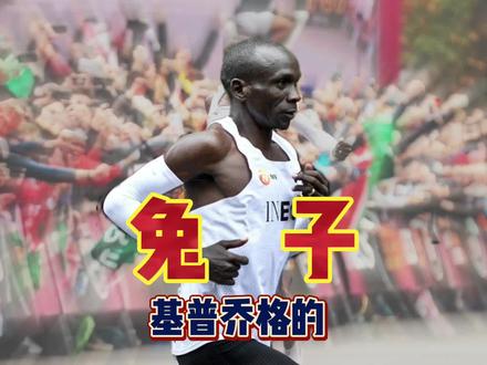 敢不给基普乔格“面子”!这兔子说道挺多啊! #马拉松 #基普乔格 #基普乔格将挑战159 #配速员 #哈跑圈 #基普桑 #拉加特