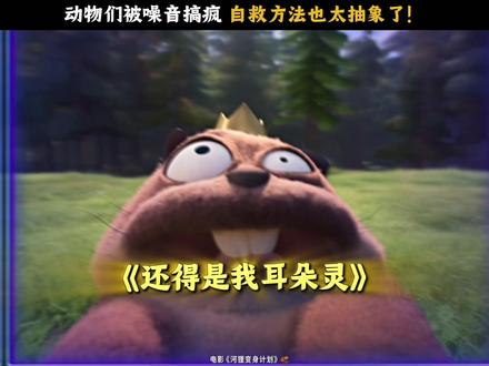 乔治国王:为什么受伤的总是我? #河狸变身计划