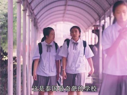 在这所学校,考0分竟能奖励住别墅 #好剧推荐 #泰剧