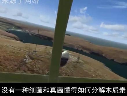 地球上的石油,真的够人类用3000年么? #石油 #科技