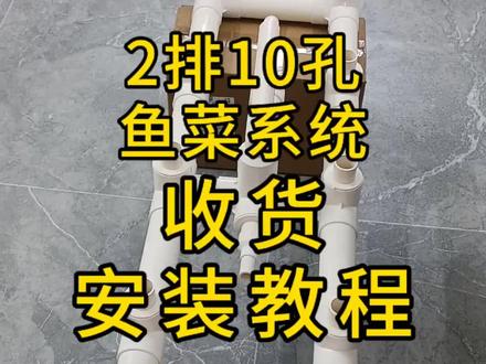 鱼菜共生系统安装教程#鱼菜共生#鱼菜共生系统#智慧农业#庭院鱼池#虹吸排水