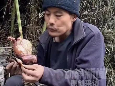 张家界七星山荒野求生选手吃肉引争议,赛事总策划回应:赛前会投放市场购买的珍珠鸡、野猪二代(记者:李俊志 责编:谢涵 编审:唐实)