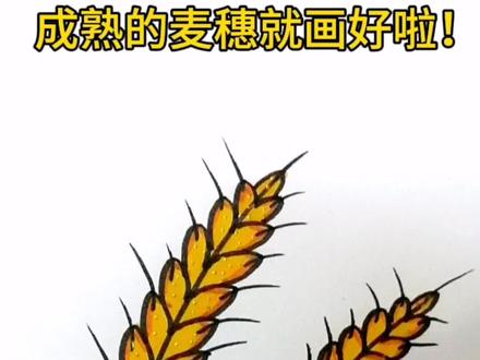 秋天成熟的麦穗简笔画#麦穗简笔画 #秋天简笔画 #简笔画教程 #儿童画