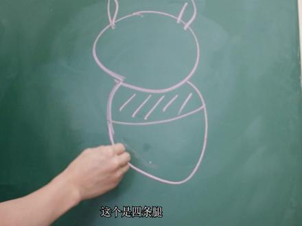 猫咪只有一个蛋,不绝育迟早药丸