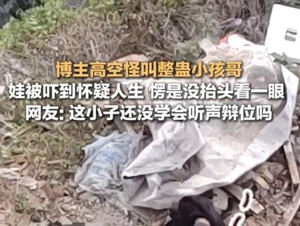 #博主高空怪叫整蛊小孩哥 娃被#吓到怀疑人生 愣是没抬头看一眼 ,网友:这小子还没学会#听声辩位 吗(来源@沉心似水)