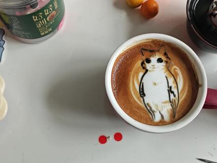 猫头鹰小猫是什么梗
#狮子吼猫咪 #表情包 #咖啡 #拉花