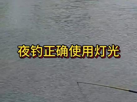 夜钓正确使用灯光#钓鱼技巧分享