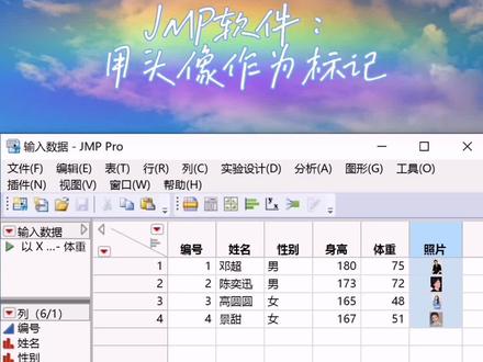 JMP软件教学,用头像做标记
#JMP