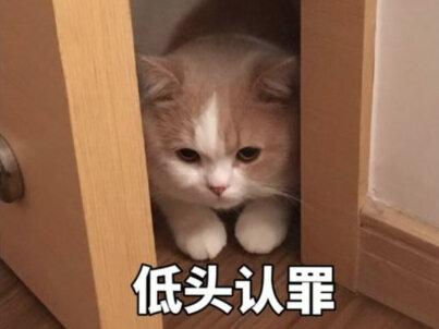 为什么有的女人觉得自己能打过男人? #女人能打过男人吗 #上热门 #防身术 #爱情故事