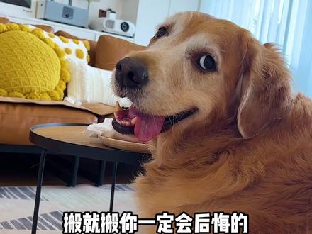 大壮我跟你开个玩笑,你居然给我把家给搬空了...#萌宠出道计划